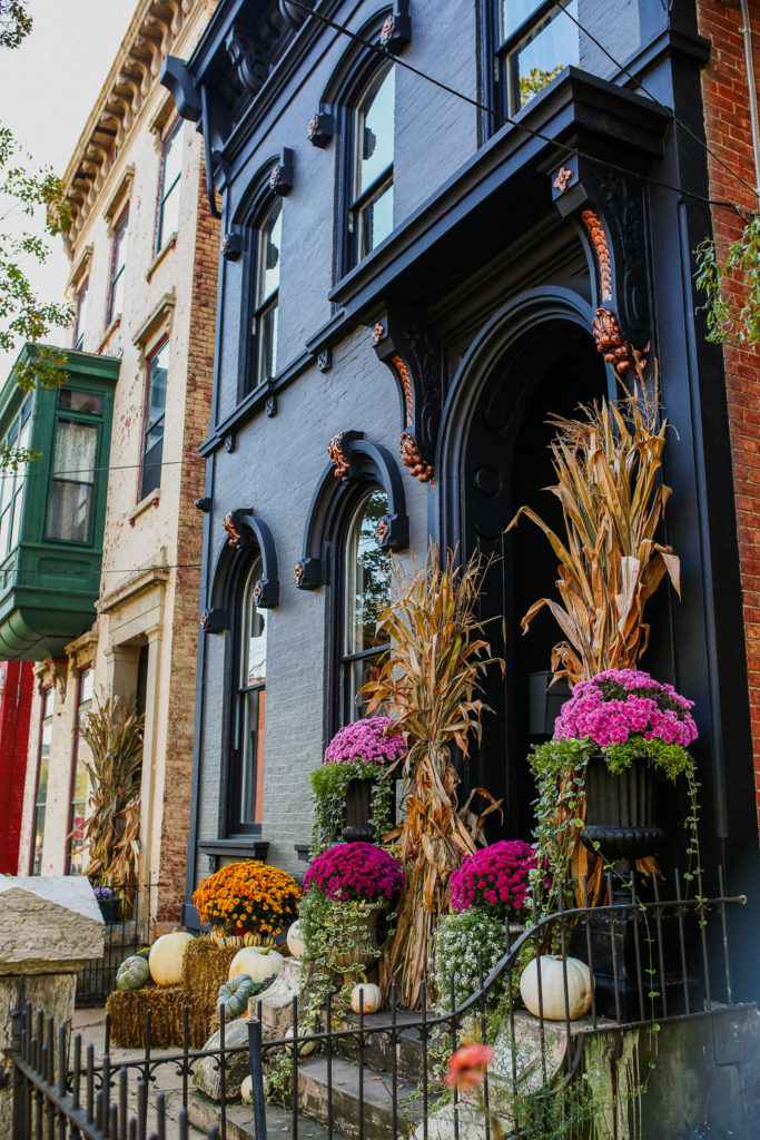 Historic Dayton Street Interior Design